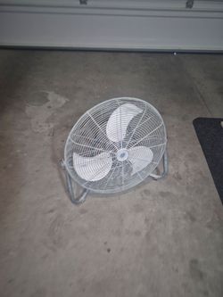 Fan