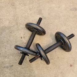 Dumb Bells x 2