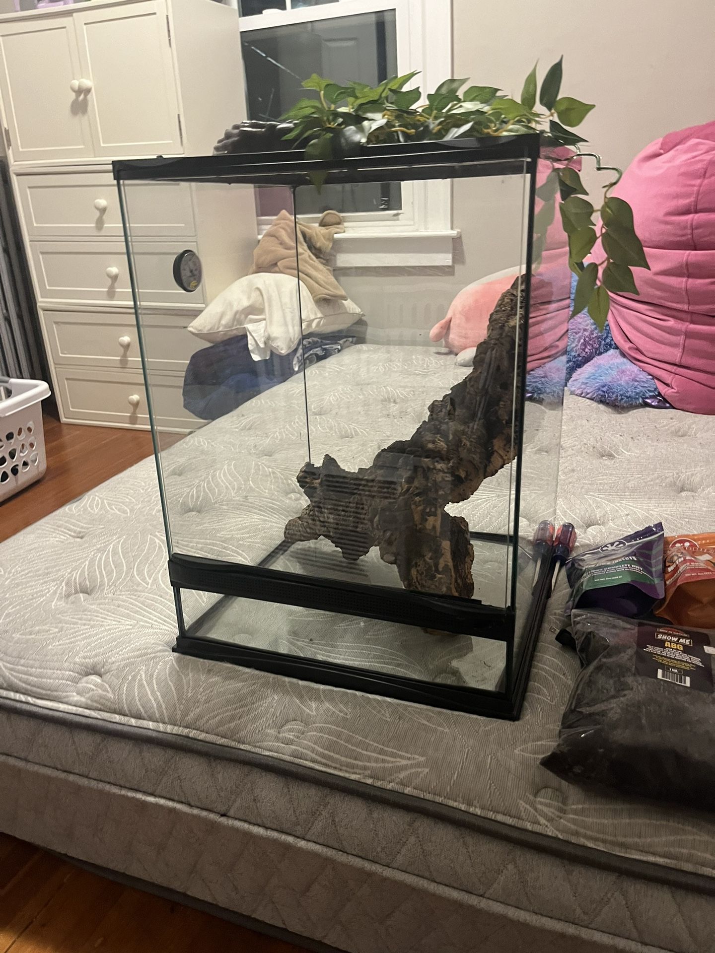 Reptile Items