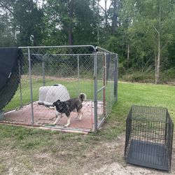 Kennel dog house