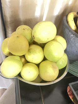 Yellow Lemons 🍋