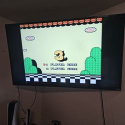 Vizio (55inch)