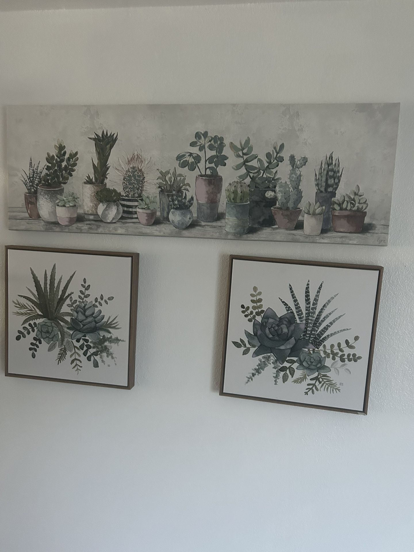 Succulents Frame 