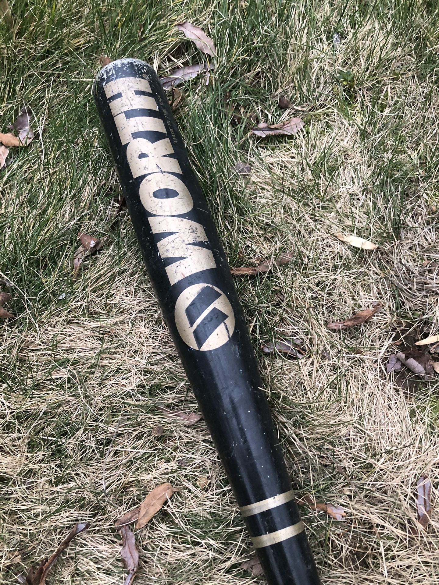 Kid’s Baseball Bat