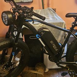 Geemax 29in fat tire ebike