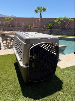 Dog Kennel