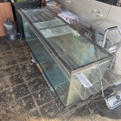 100 Gallon Fish Tank
