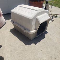 Dog House 