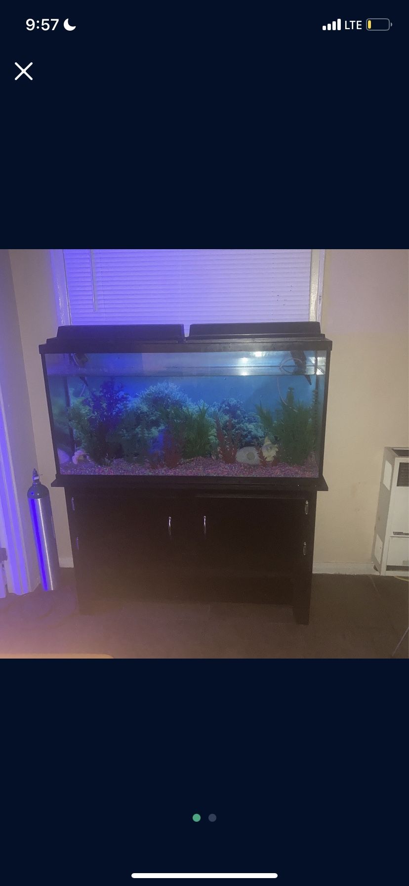 Fish Tank for Sale in Los Angeles, CA OfferUp