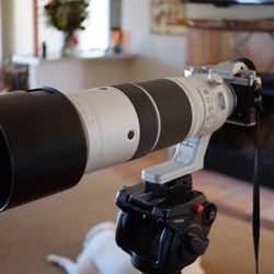 Fuji X-T5 With 150-600 and 2x Extender | Wildlife Photography