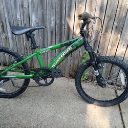 Diamondback Cobra
