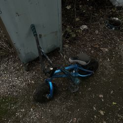 Davy Jones Rocker BMX 