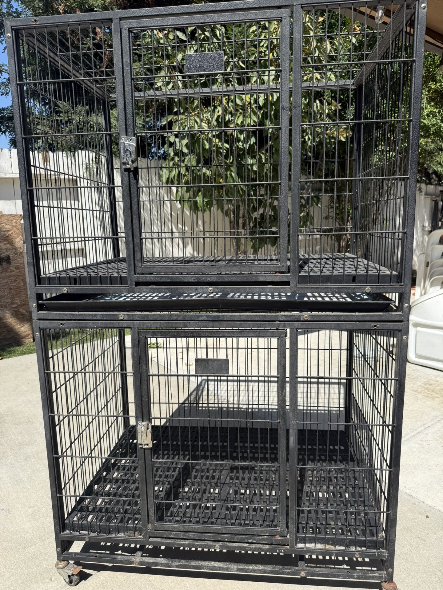 Dog Cage 