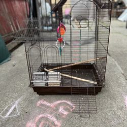 Birds Cage 