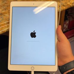 Apple iPad Air