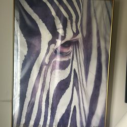 Vintage prints in frames  signed