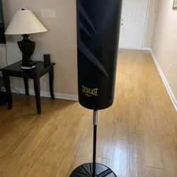 Everlast Training Bag
