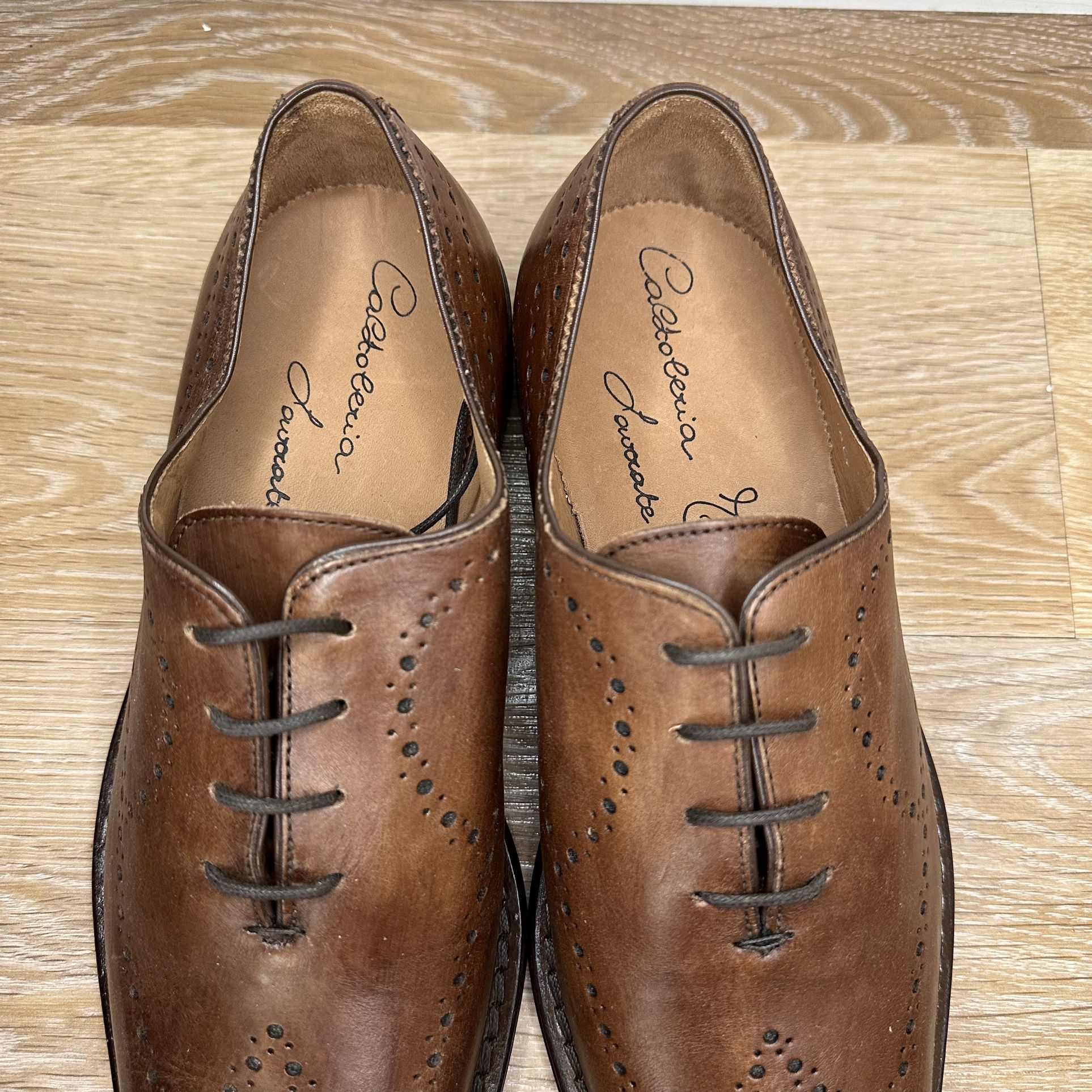 Calzoleria Toscana Brown Genuine Leather Brogue Wingtip Oxford Shoes Calzoleria Toscana Brown Genuine Leather Brogue Wingtip  main image 3