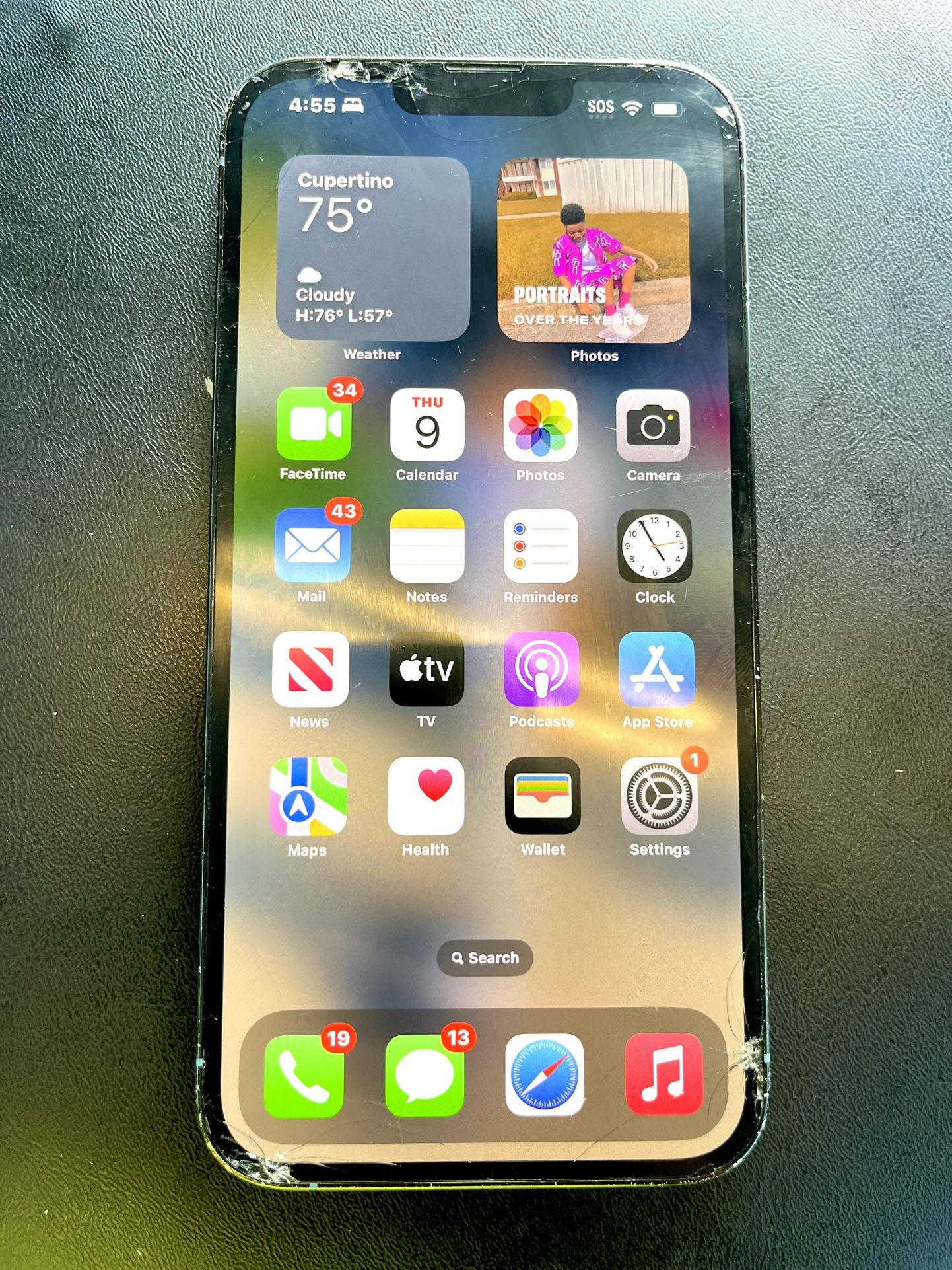 iPhone 13 Pro Max