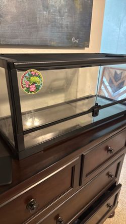 20 gallon reptile tank