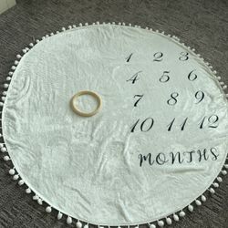 Baby Monthly Milestones 