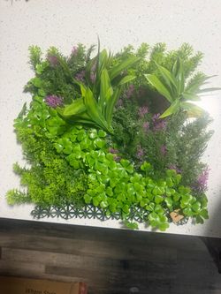 Boxwood panel