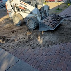 Bobcat Demo