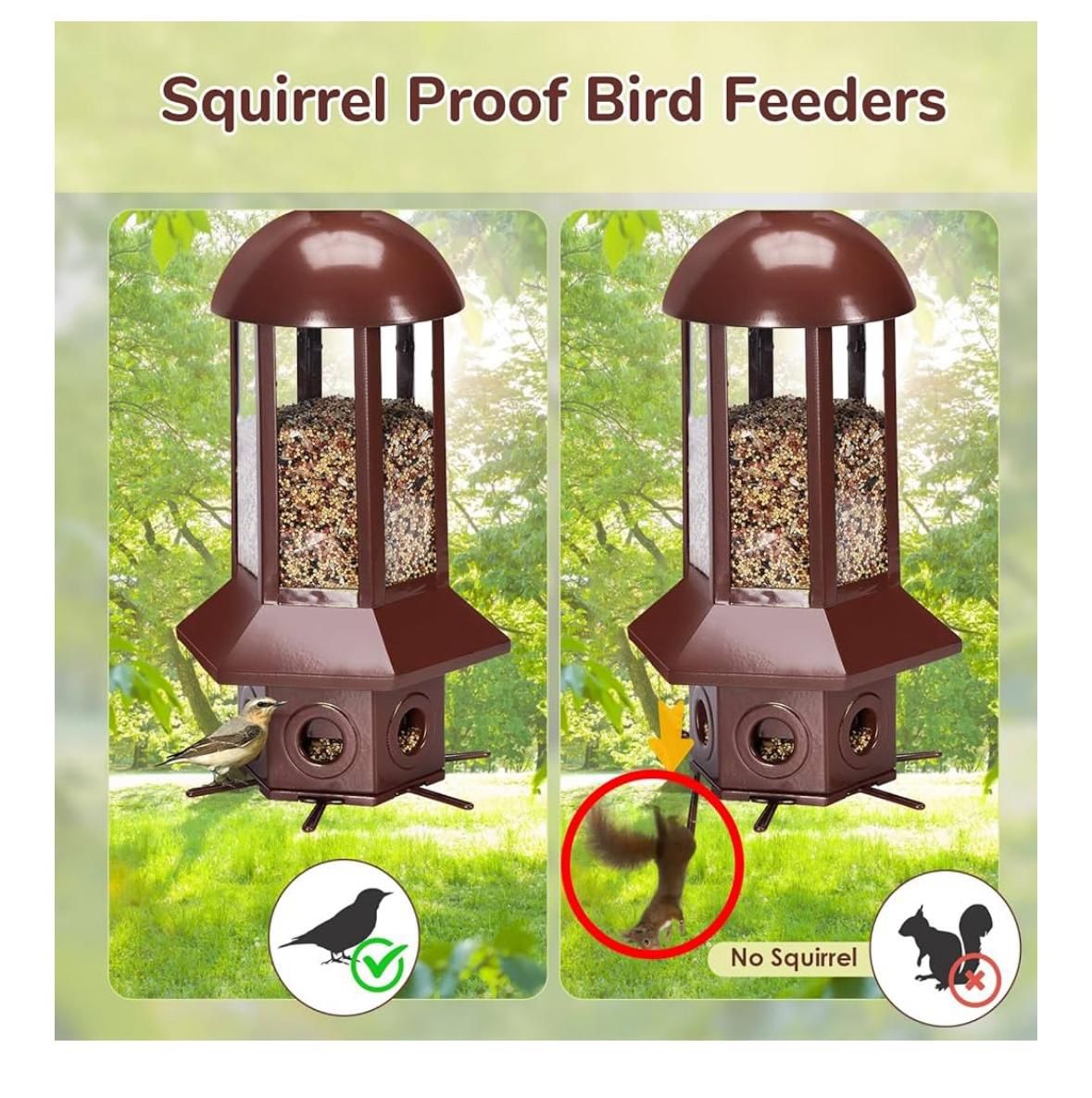 Professional bird Feeder