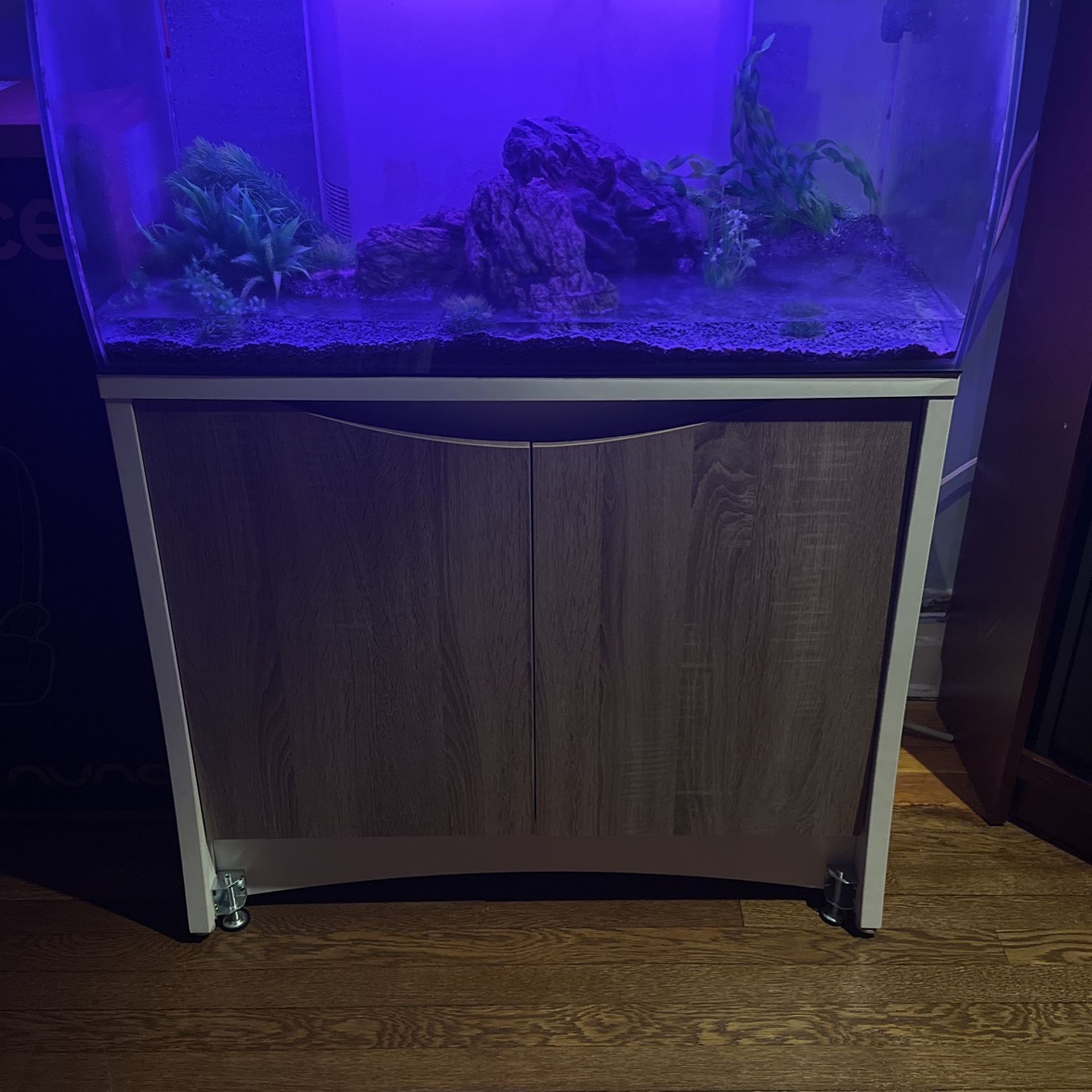 Fluval flex cheap 32.5 stand