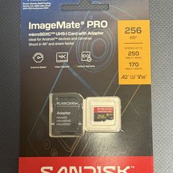 Sandisk 256GB microSD card