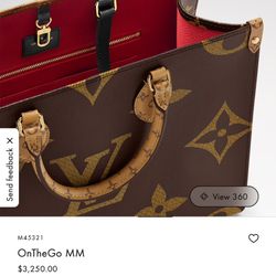 LV Purse 