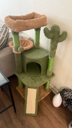 cat tree and cactus scratching post