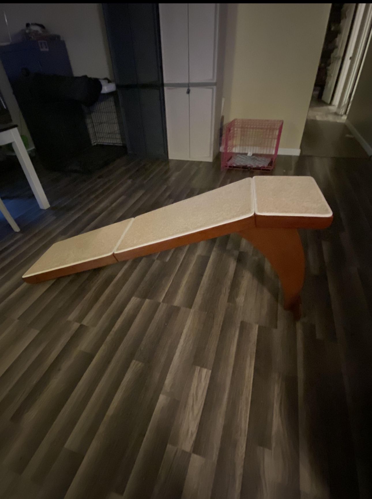 Like New Pet Ramp
