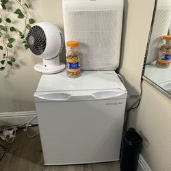 Mini Fridge 
