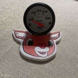 Autometer Gauge