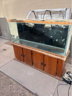 90 gallon fish tank
