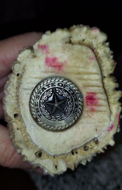 STATE OF TEXAS WINE STOPPER MADE FROM A DEER HORN $7
Pick up in Mckinney