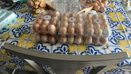 Chicken fresh eggs