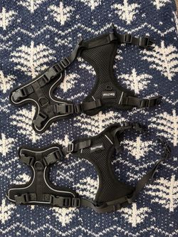 Bechtel Cat Harnesses - Size Medium