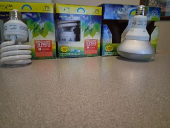 16 Flourescent Bulbs,4 Flood And 12 Lamp Bulbs