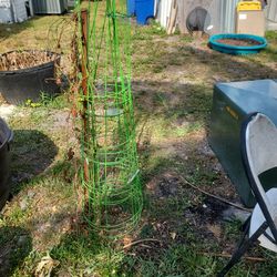 4 Tomato Cage For $6