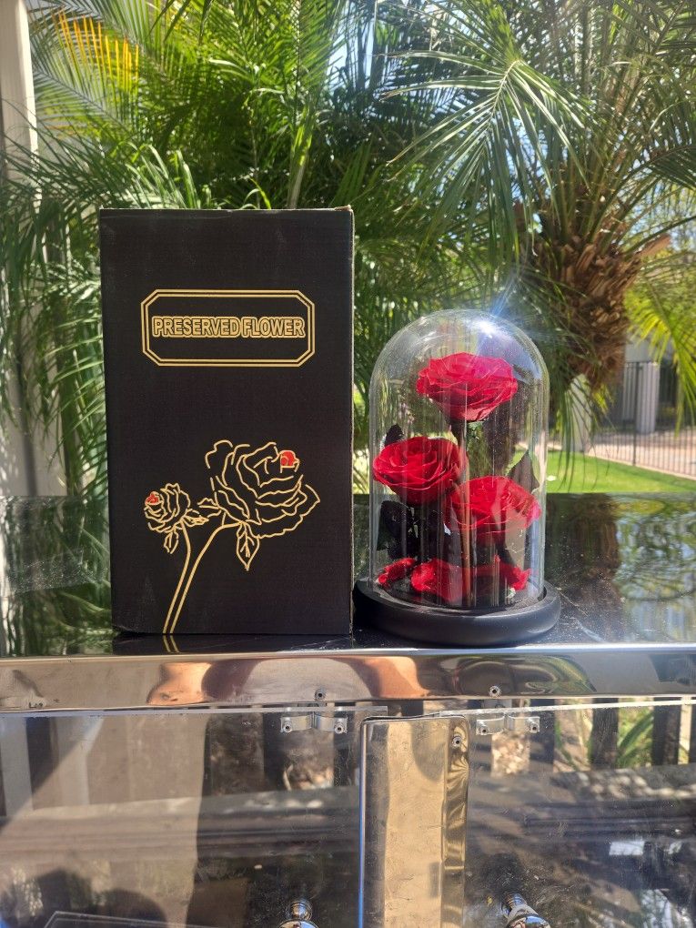 Preserved Flower