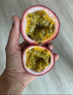 Fresh Organic Passion Fruit (Maracuya) 30 Large Fruits – $15. Maracuyá Parcha 百香果 Chanh dây