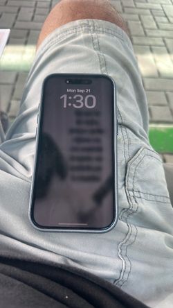 17 pro