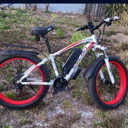 Electric Bike