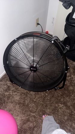 Fan