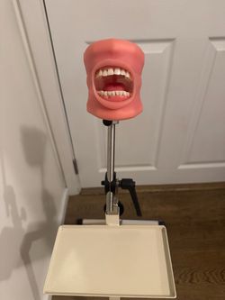 Nissin dental model