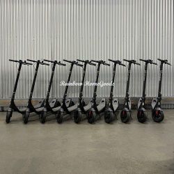 Electric Scooter E-Scooter