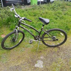 Diamondback wildwood deluxe