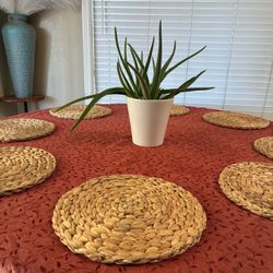 Natural woven Placemat set of 8